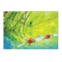Папка-конверт на кнопке А4, "Ladybird", 180мкм